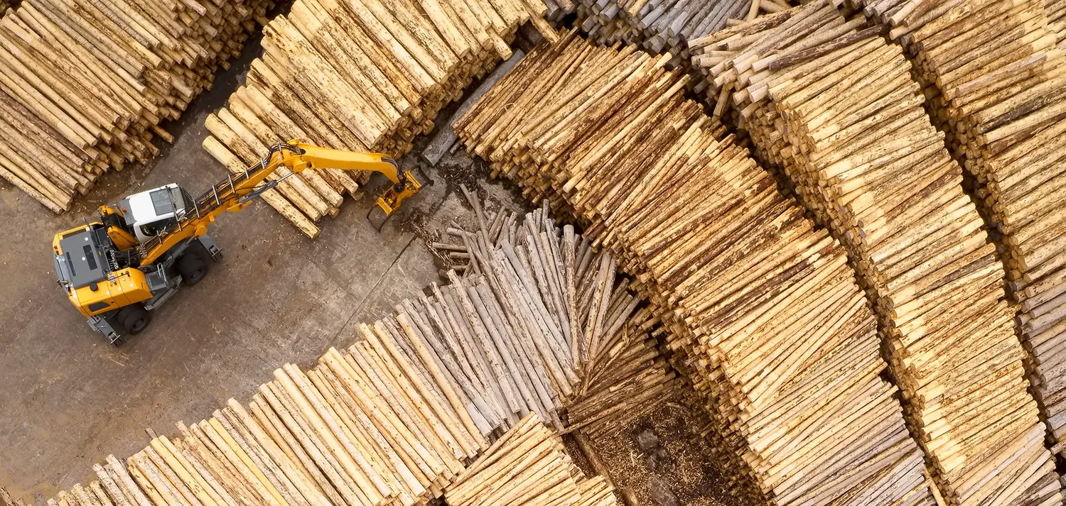 Bild von Baumstämmen in einem Sägewerk von oben - Schwarzer Holzlogistik