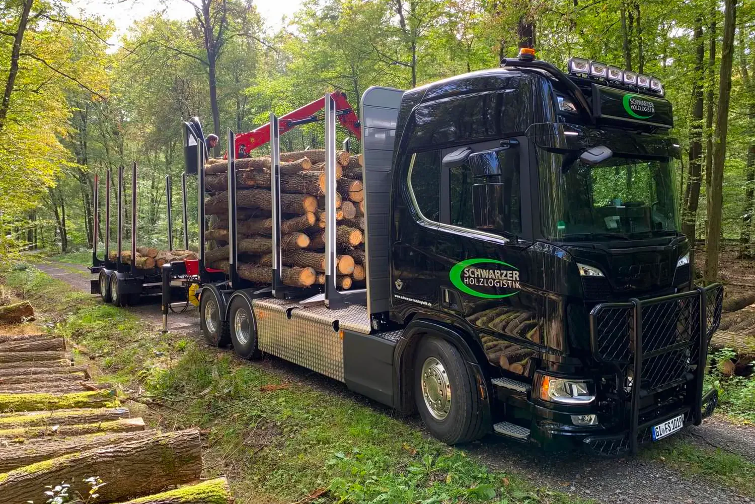 Bild eines Holztransport LKWs mit Ladekran beim beladen im Wald - Schwarzer Holzlogistik