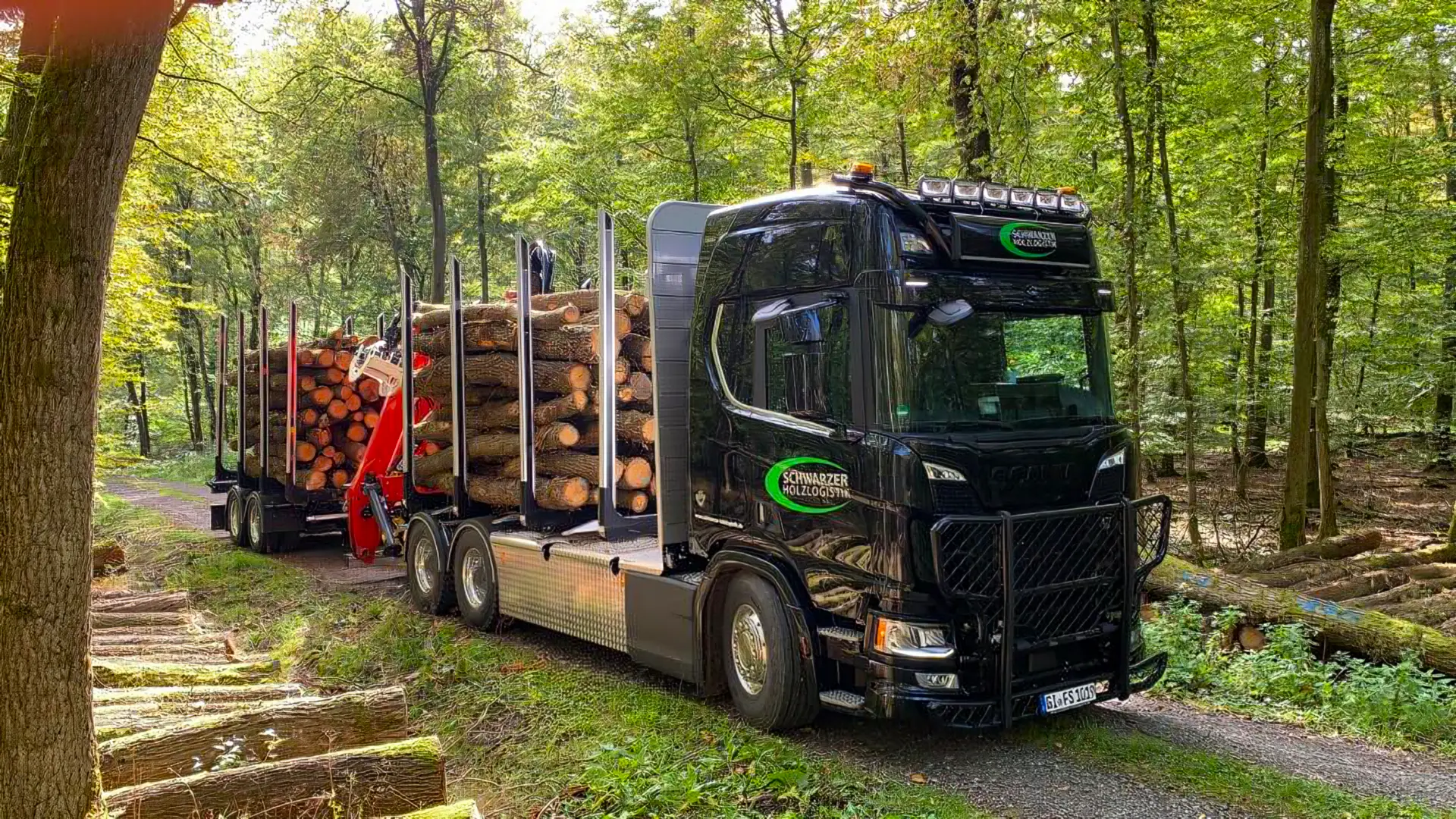 Bild eines Holztransporters von Schwarzer Holzlogistik beim Verlassen des Waldes